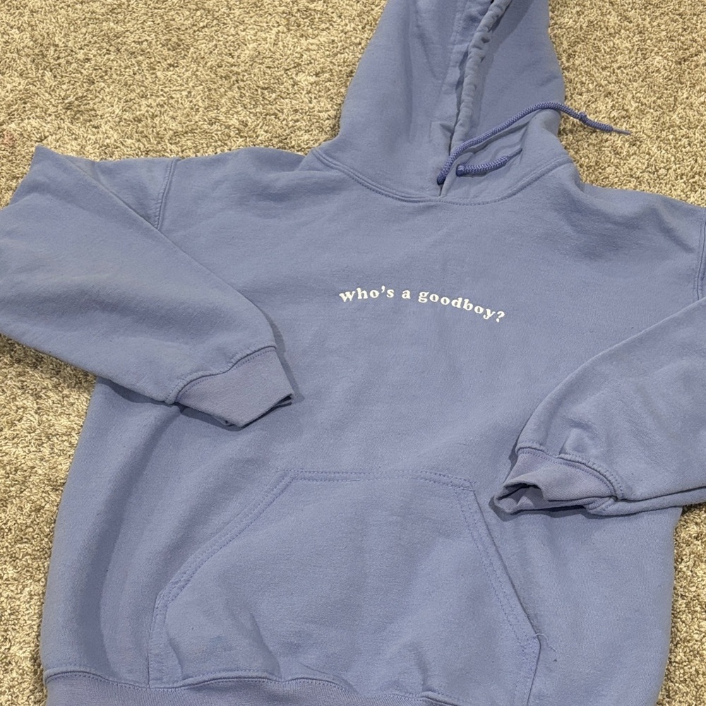 ⭐️2/$10 - Blue Hoodie with Text Print